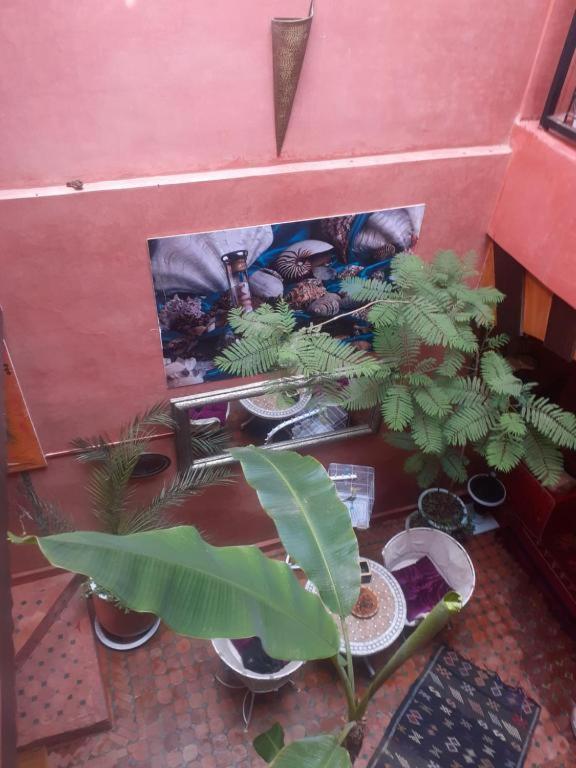 Riad Hanafi Marrakesh Extérieur photo